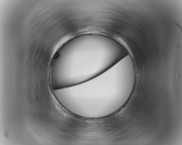 X0000102791146200808180948
