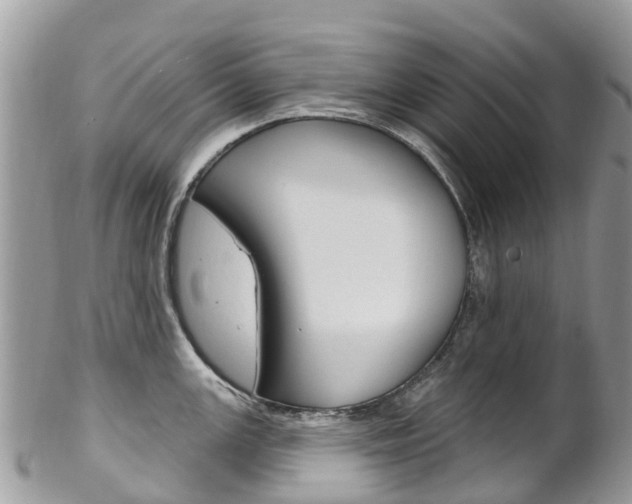 X0000102791147200808180948
