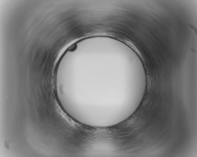 X0000102791148200808180948