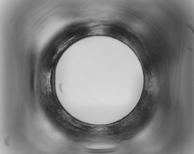 X0000102791150200808180948