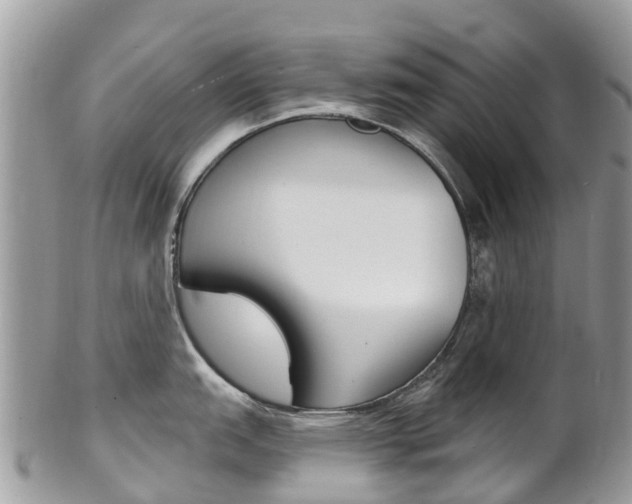 X0000102791151200808180948