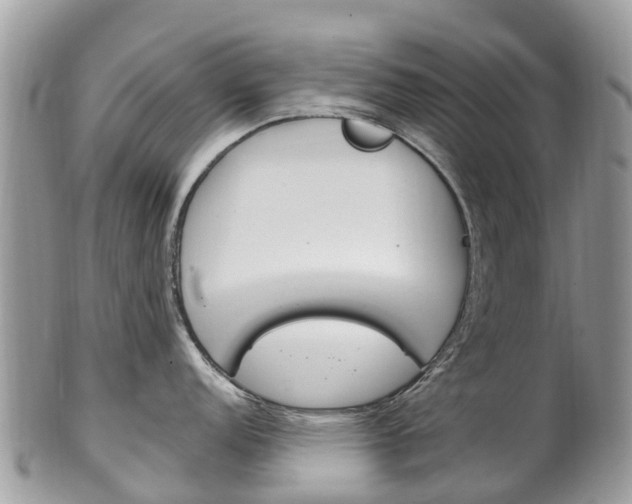 X0000102791152200808180948