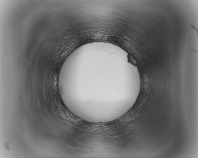 X0000102791154200808180947