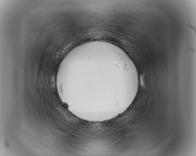 X0000102791155200808180947