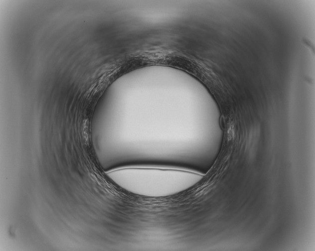 X0000102791156200808180947
