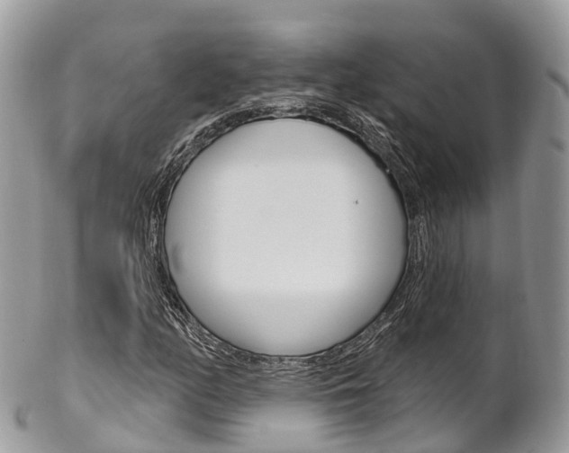 X0000102791158200808180947