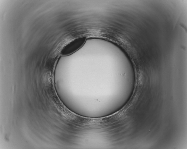 X0000102791161200808180947