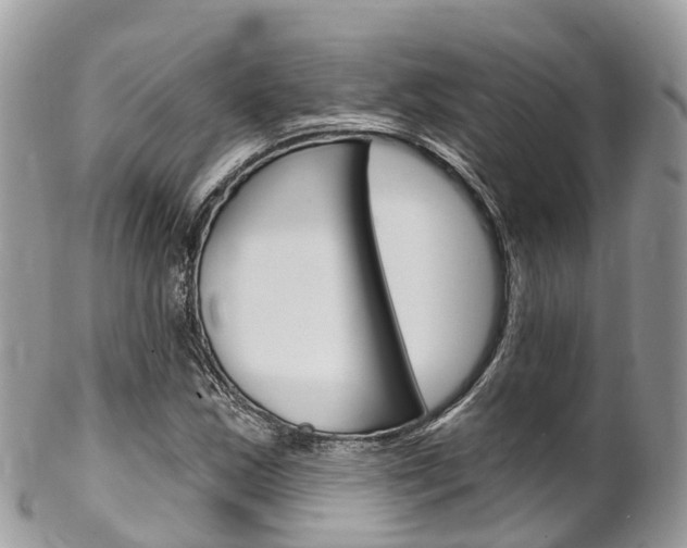 X0000102791163200808180947