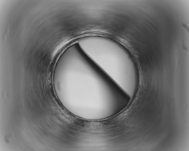 X0000102791164200808180947