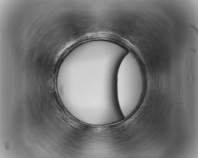 X0000102791166200808180947