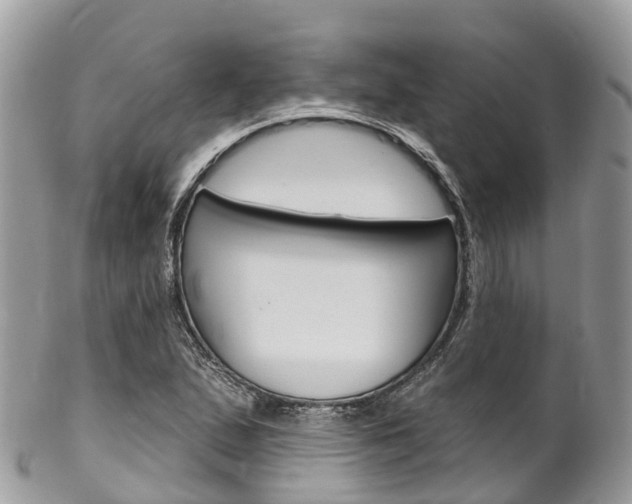X0000102791167200808180947