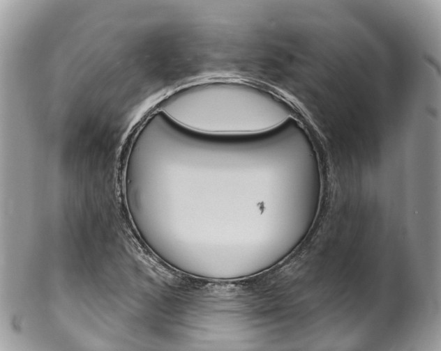 X0000102791168200808180947