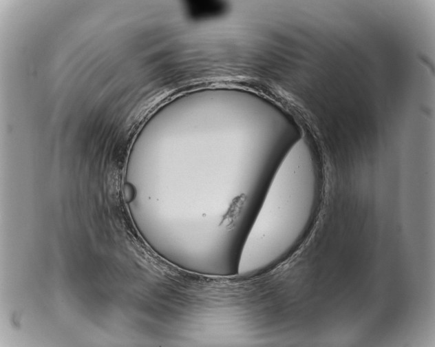 X0000102791169200808180947