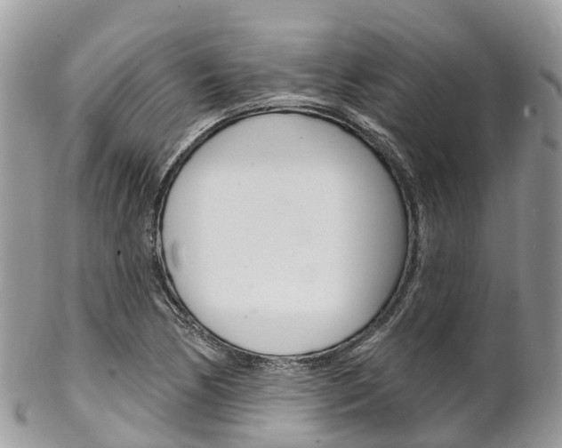 X0000102791170200808180947