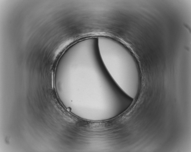 X0000102791171200808180947