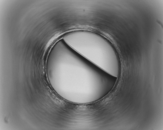 X0000102791172200808180947