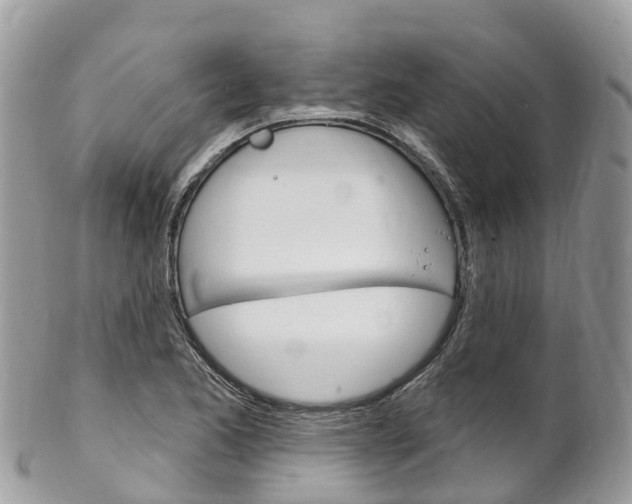 X0000102791173200808180947