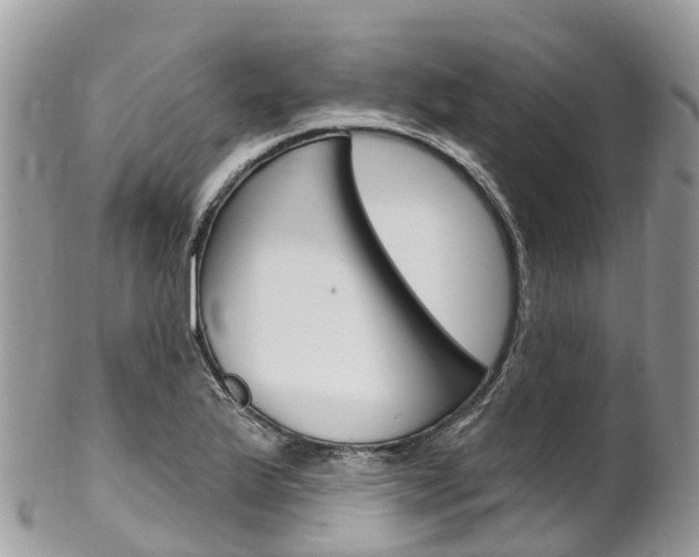X0000102791175200808180947