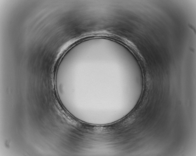 X0000102791176200808180947