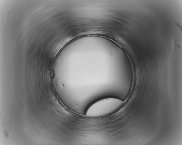 X0000102791177200808180947