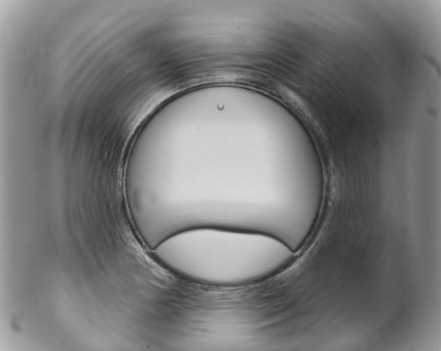 X0000102791178200808180947
