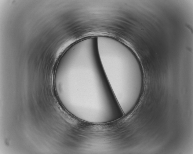 X0000102791179200808180947