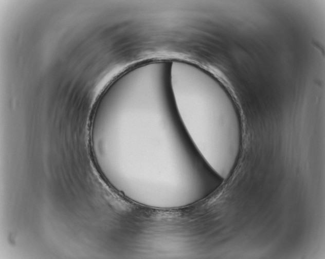 X0000102791183200808180947