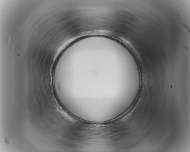 X0000102791184200808180947