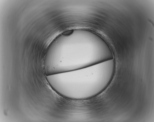 X0000102791185200808180947