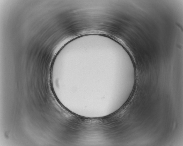 X0000102791187200808180947