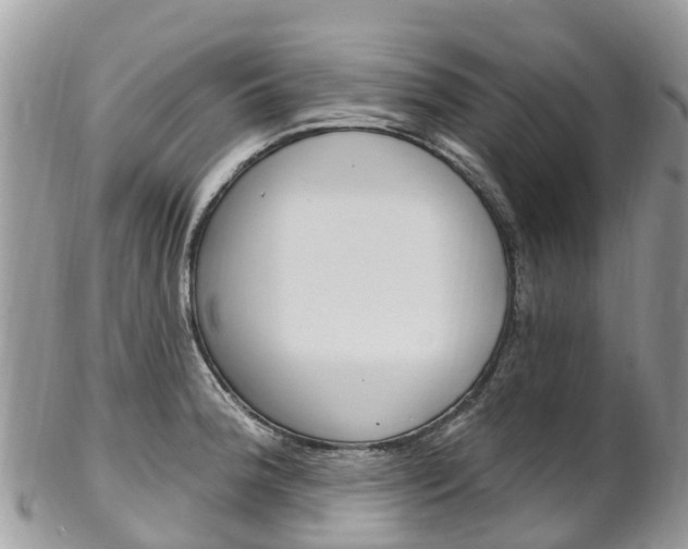 X0000102791188200808180947