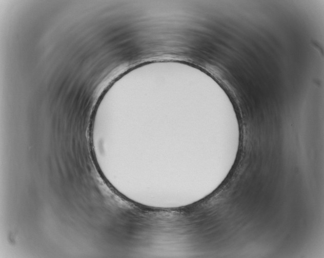 X0000102791189200808180947