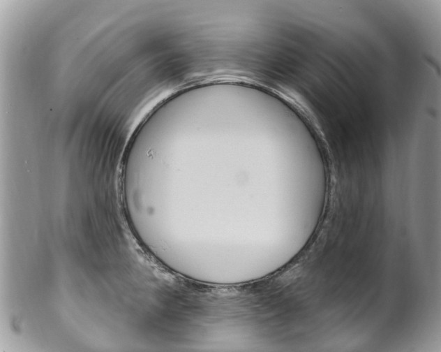 X0000102791190200808180947