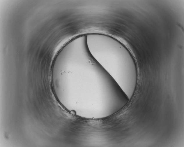 X0000102791191200808180947