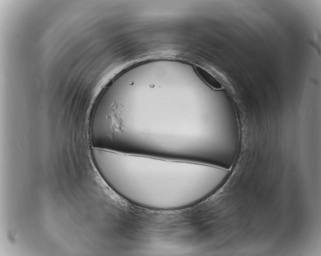 X0000102791192200808180947