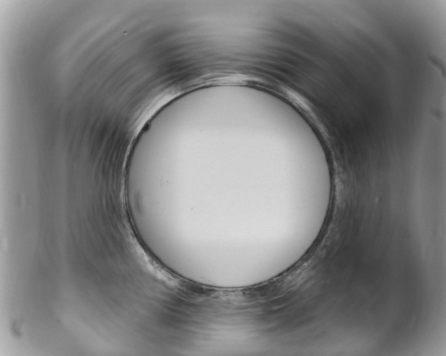 X0000102791194200808180947