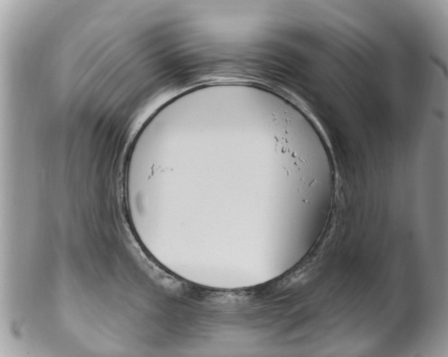 X0000102791195200808180947