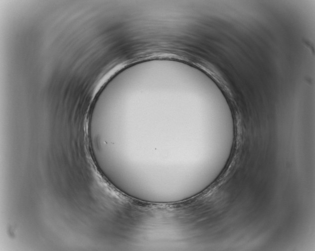 X0000102791198200808180947