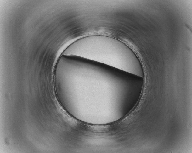 X0000102791200200808180947
