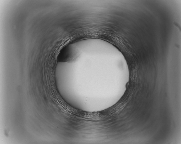 X0000102791201200808180946