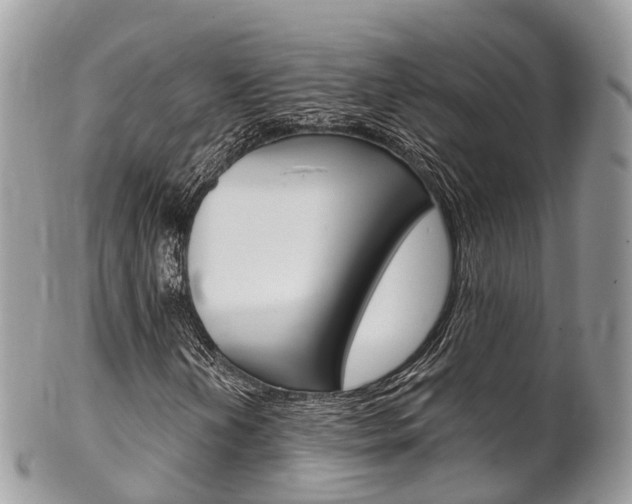 X0000102791202200808180946