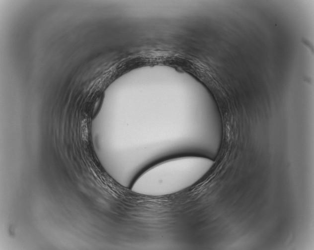 X0000102791204200808180946