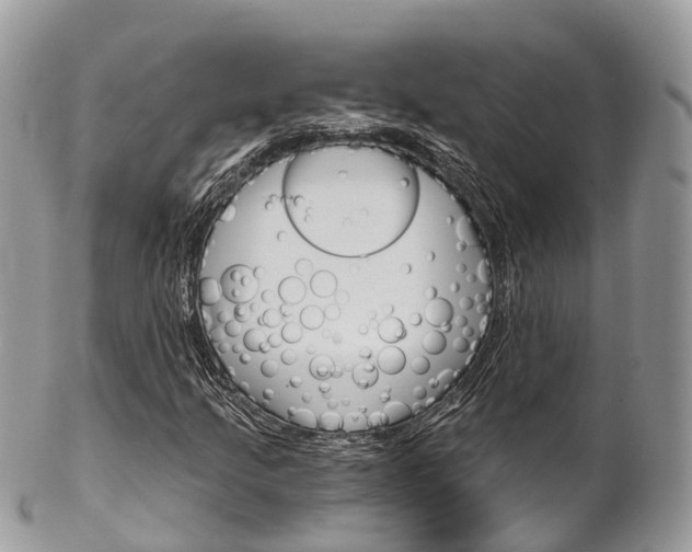 X0000102791205200808180946