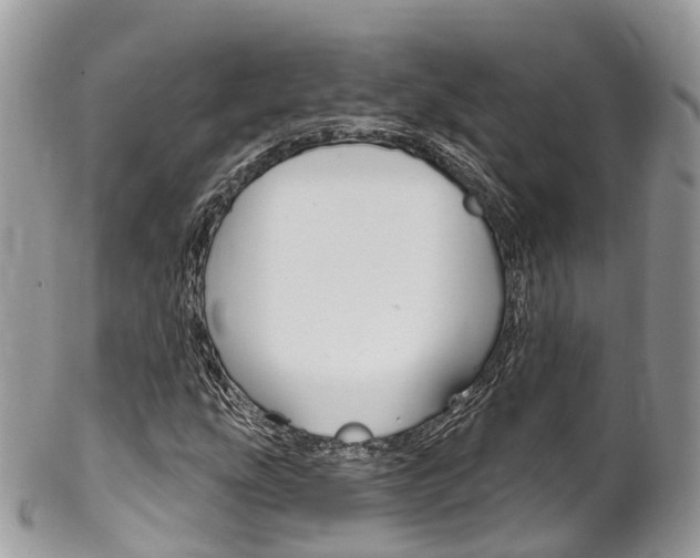 X0000102791207200808180946