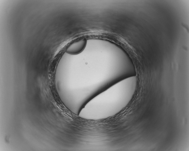 X0000102791208200808180946