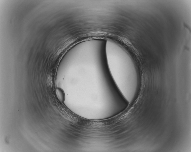 X0000102791209200808180946