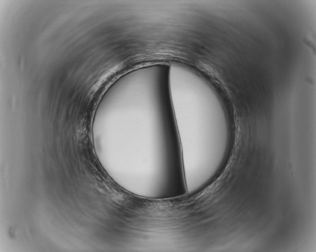 X0000102791210200808180946