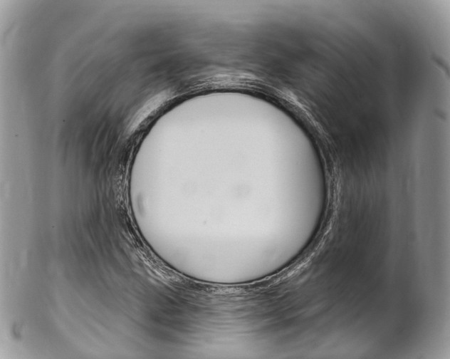 X0000102791211200808180946