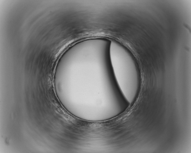 X0000102791212200808180946