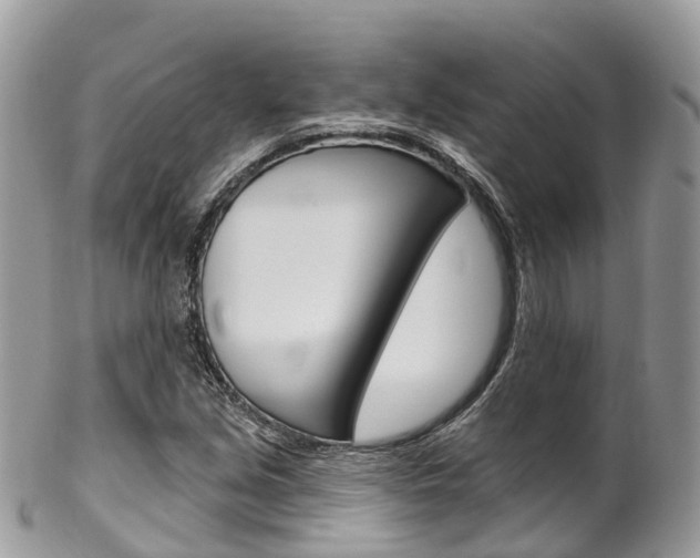 X0000102791213200808180946